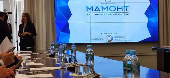 Николай Доронин: «Мамонт должен стать полновесным арктическим брендом»