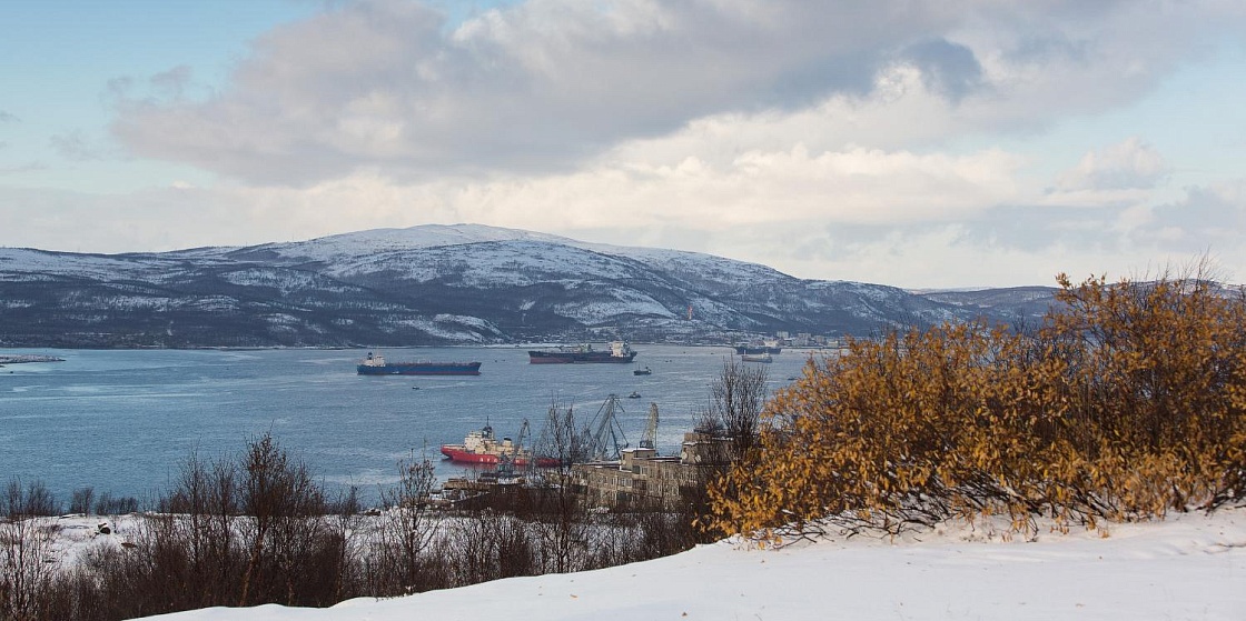 ПОРА и ВШЭ представили результаты первого этапа создания научного рейтинга арктических компаний