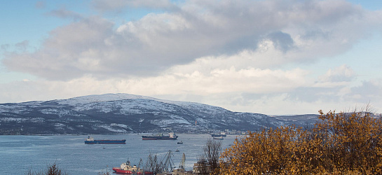 ПОРА и МГУ выпустили пятый рейтинг арктических регионов «Полярный индекс»